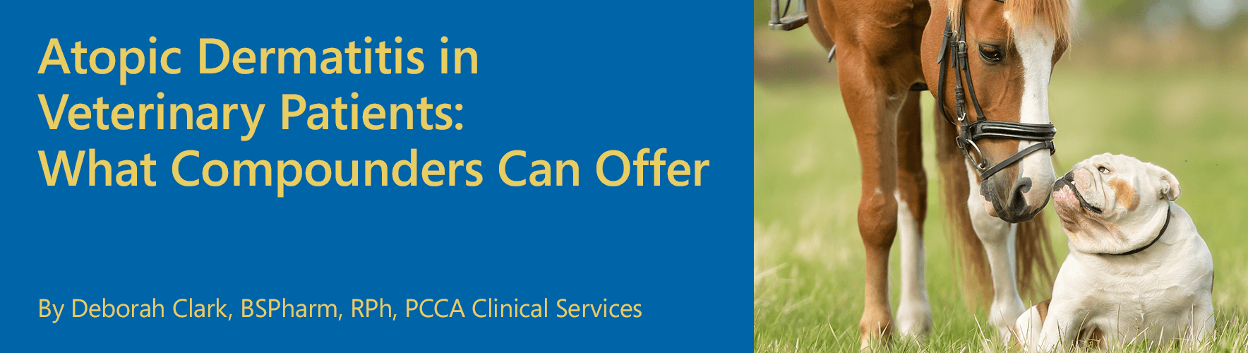 201903_ThePCCABlog_VeterinaryAtopicDermatitis_1768x500.png